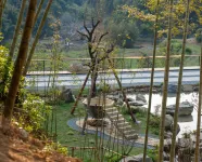Songji Natural Forest Resort - Hot Springs
