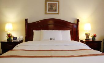 Al Diar Mina Hotel