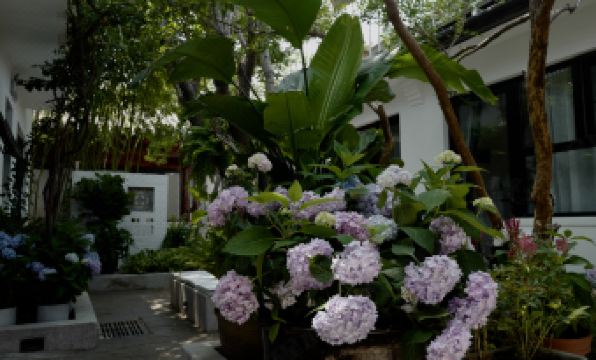 Peking Yard Boutique Hotel - Housity