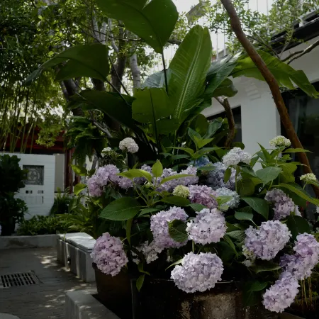 Peking  Yard Siheyuan Boutique Hotel(Garden&Terrace &Lama Temple&hutong&Houhai&Tiananmen&Restaurant