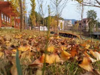 Xian Heyue Ecological Tourism Scenic Area B&B