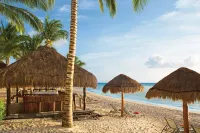Dreams Cozumel Cape Resort & Spa - Romantic