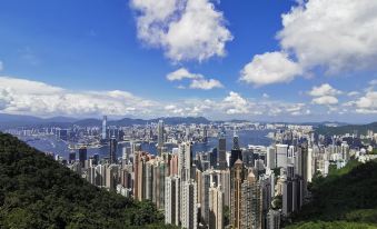 The city can be seen from a high altitude, with skyscrapers and other buildings in the foreground at J Link Hotel