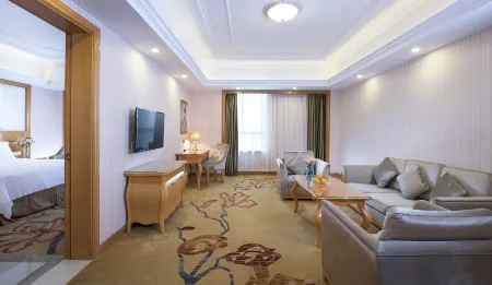 Vienna International Hotel ( Yiyang Hi-tech Zone High-speed Railway South Station) Отели рядом с достопримечательностью «First Village of Great Changes in the Mountains»