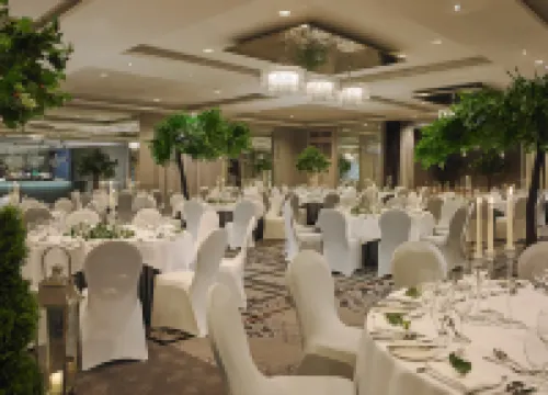 그레이트 서던 킬라니