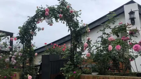 Lirenju Inn (Chaozhou Ancient City Paifang Street Store) Отели рядом с достопримечательностью «Memorial Temple of Han Yu»