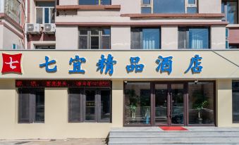 Changchun Qiyi Boutique Hotel (Sports College Branch)