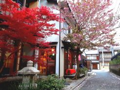 เกสท์เฮาส์ โซอิ