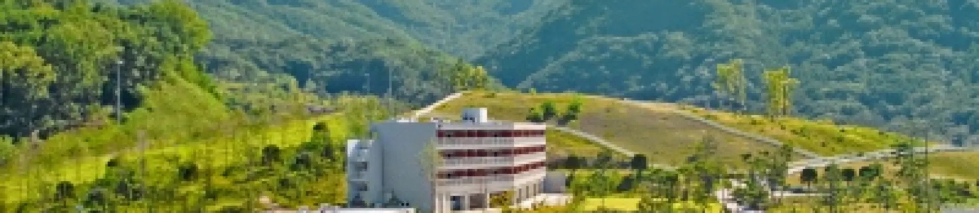 Gehobene Hotels 