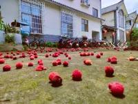 Caicai Boutique Stay Hostel