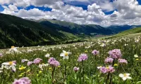 觀山民居 - 新
