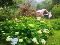 楠溪江楓驛花園式民宿