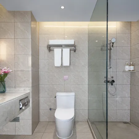 Vienna Hotel (Xinxiang DL Fat Donglai Sanpang Store)