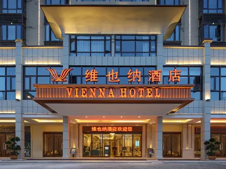 Vienna Hotel (Lingao Store)