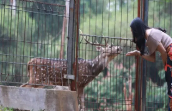 Adiroso Managed by Sahid