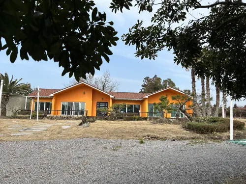 Betta's Homestay Hotels in Jeju