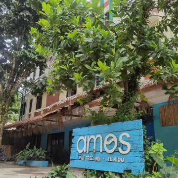 Amos Pili Tree Inn Powered by Cocotel Hotel berhampiran Pantai Las Cabanas