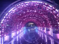 Kangding Bintu Homestay