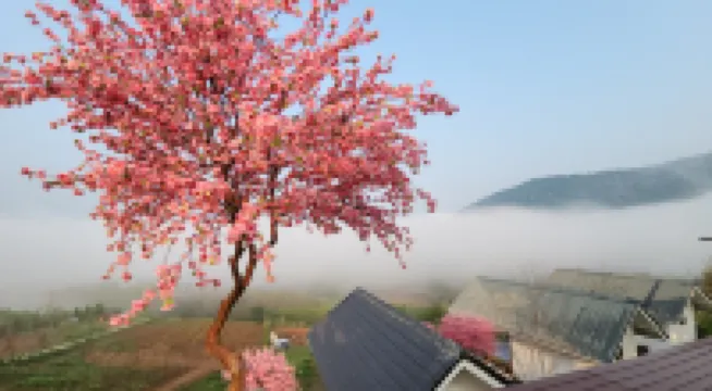 Sirine​ Onsen​ รีสอร์ทออนเซนวิวทะเลหมอก