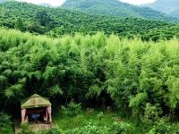 莫干山氧泉山居 - 山景别墅