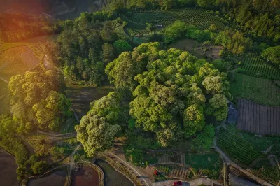 Leliving Qishan Xiayin Manor