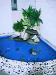 Huashan Yishan Homestay - Inns