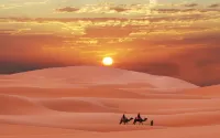 Tengger Desert Seeking Secret Camping Hotel