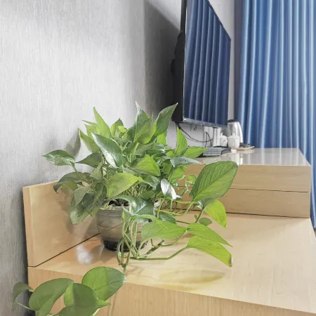 Junyi Chain Hotel (Yongqing Yufeng Middle Street)