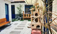 Cat Youth Hostel in Qufu Alley