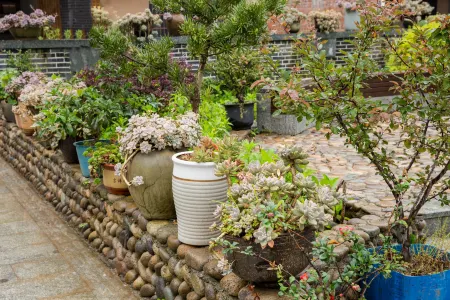 Yunhe Terraced Fields Yijie Homestay Отели в г. Юньхэ