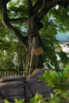 Yunqichu Homestay (Wumeng Grass Plain)