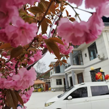 Xishan Homestay (Maiji Mountain Scenic Area)