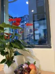 Liupanshui High Tech Zone Ruixiang Homestay - 신규