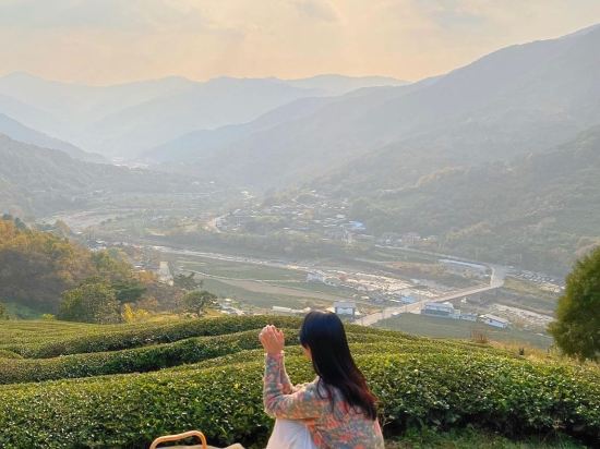 Pocheon Habibi 쿠폰