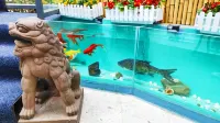 花香麗舍（都江堰景區灌縣古城店） - Villa