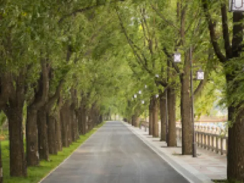 Shuishi Forest Hot Spring Resort Hotels in Qiqihar