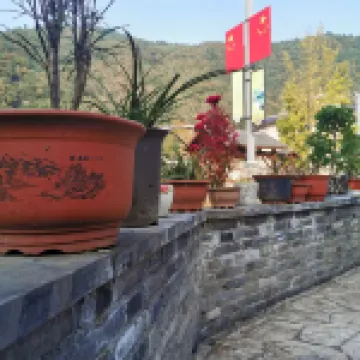 長興十里古銀杏長廊秋濃民宿 鄰近長興八都岕景區的酒店