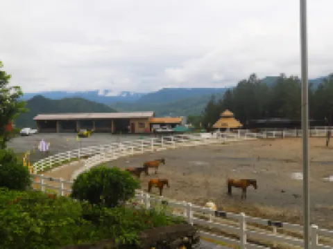 Pinglima Panshan Kangyang Homestay Pingli İlçesi otelleri