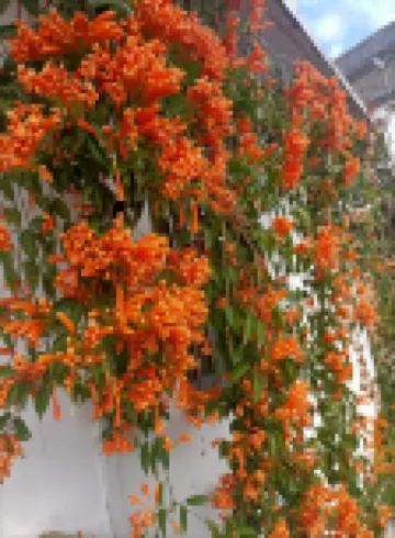 Xidu Garden Xiaoyuan Guesthouse