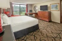 Hilton Bellevue