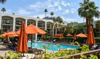 Palm Mountain Resort & Spa - piscine