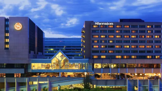 Sheraton Frankfurt Airport Hotel & Conference Center