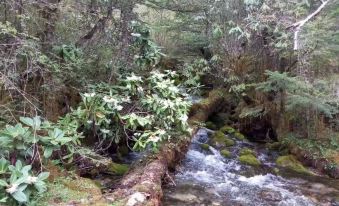 Yuxi Jiaguzhai Reception Station