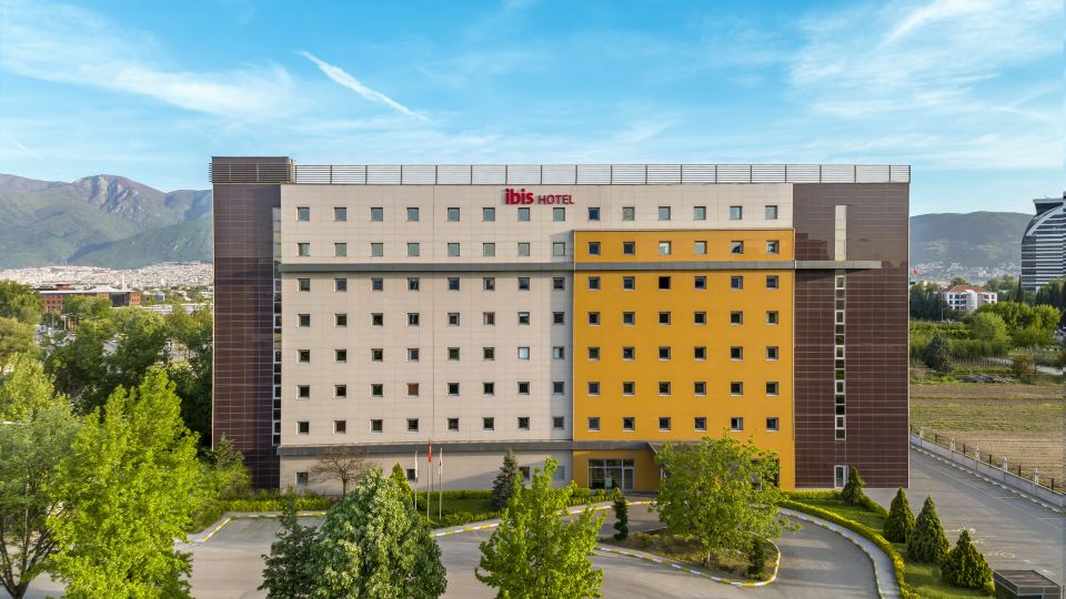 Ibis Bursa