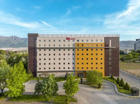 Ibis Bursa