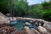 Blossom Valley Daocheng, Azelea & Spring - suối nước nóng
