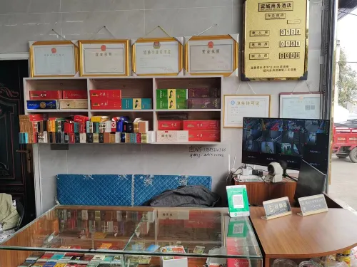 Nanyi Yangchangzhen Bincheng Business Hotel