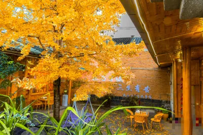 shan Ge inn in tengchong ginkgo village Hoteles en Ginkgo Village