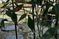 青悠山居·Artist·民宿（景德鎮三寶國際陶藝村店）