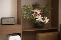瀾滄皮皮家的雲海窩窩觀景民宿